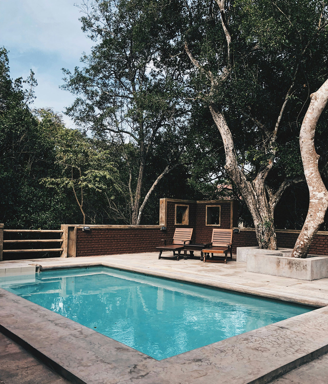 Swimming pool area with modern landscape design
